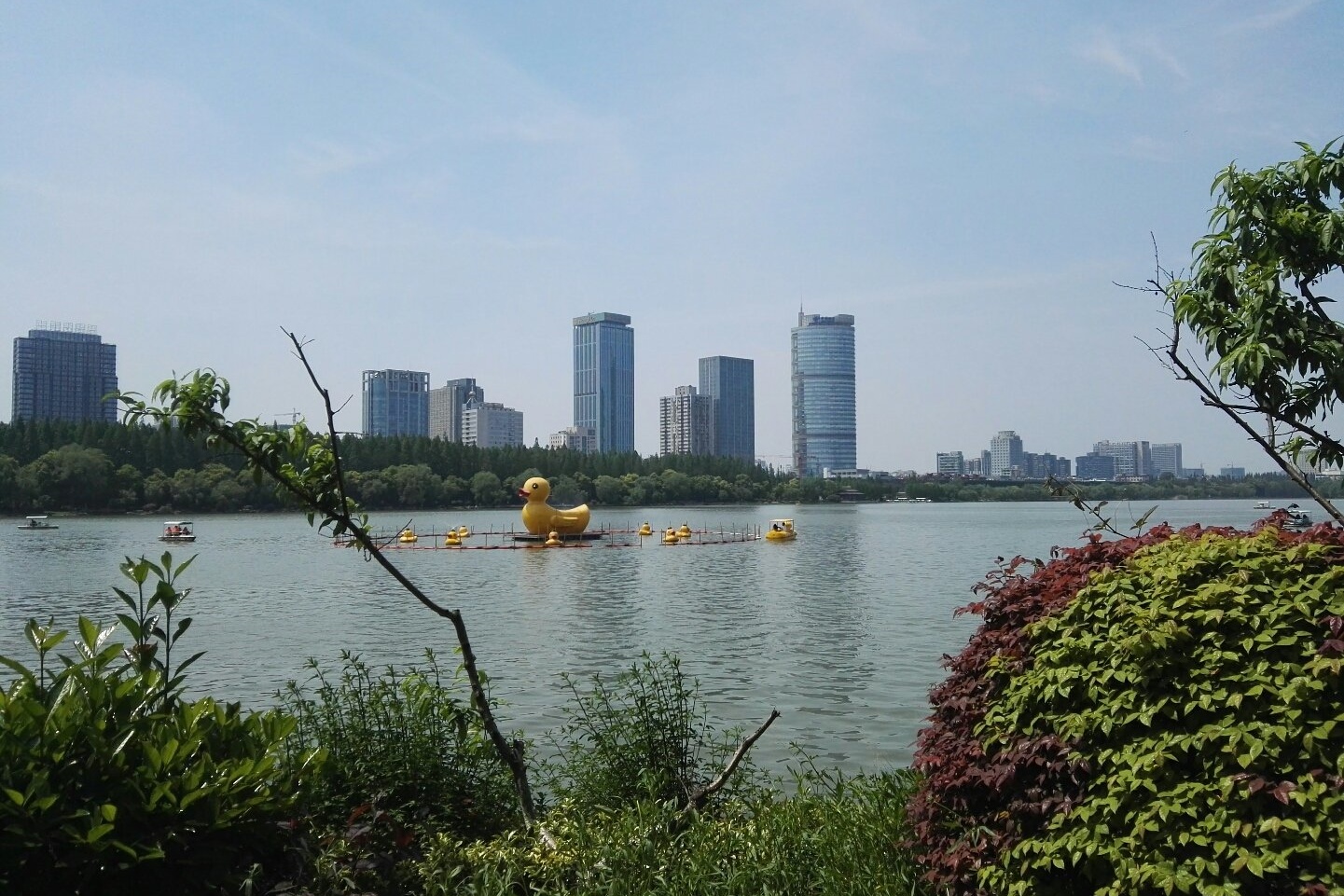 Xuanwu Lake Park